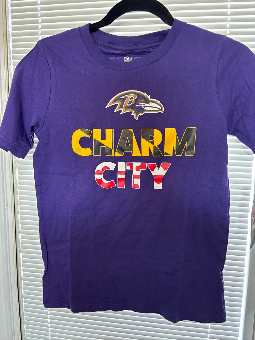 NFL Purple Baltimore Ravens "Charm City" Kids Tee